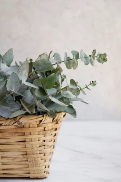 Compra de colchones de materiales naturales materiales naturales